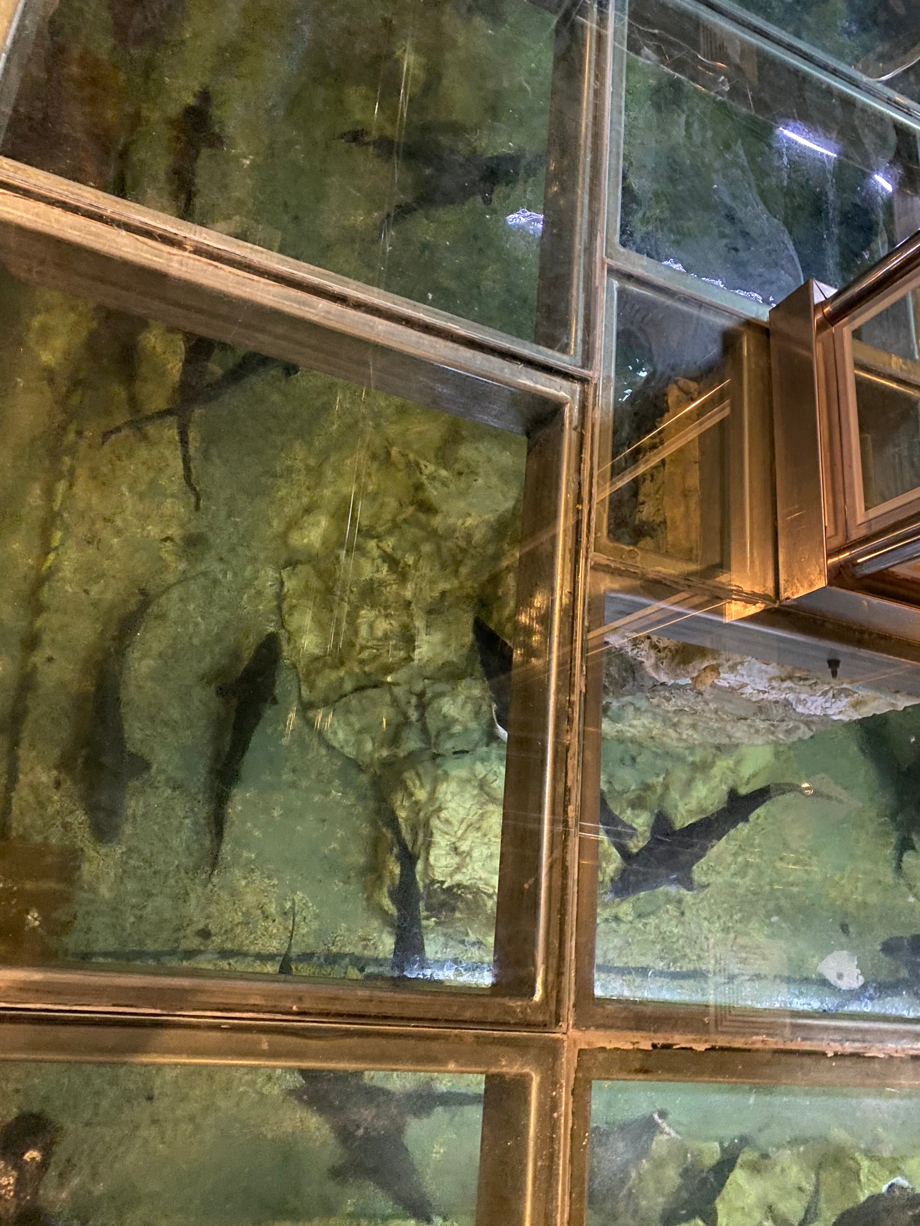 Фото Caspian Riviera Grand Palace