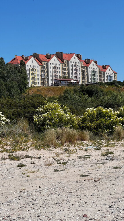 Фото Янтарная Корона