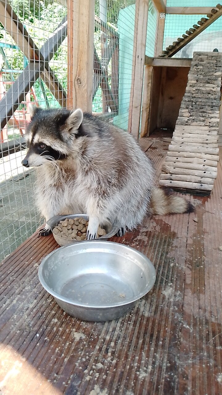 Фото Ай-Лия