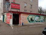 Novaya vesna (derevnya Alekseyevka, Internatsionalnaya ulitsa, 62), grocery
