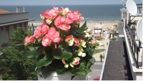 Фото Hotel Plaza