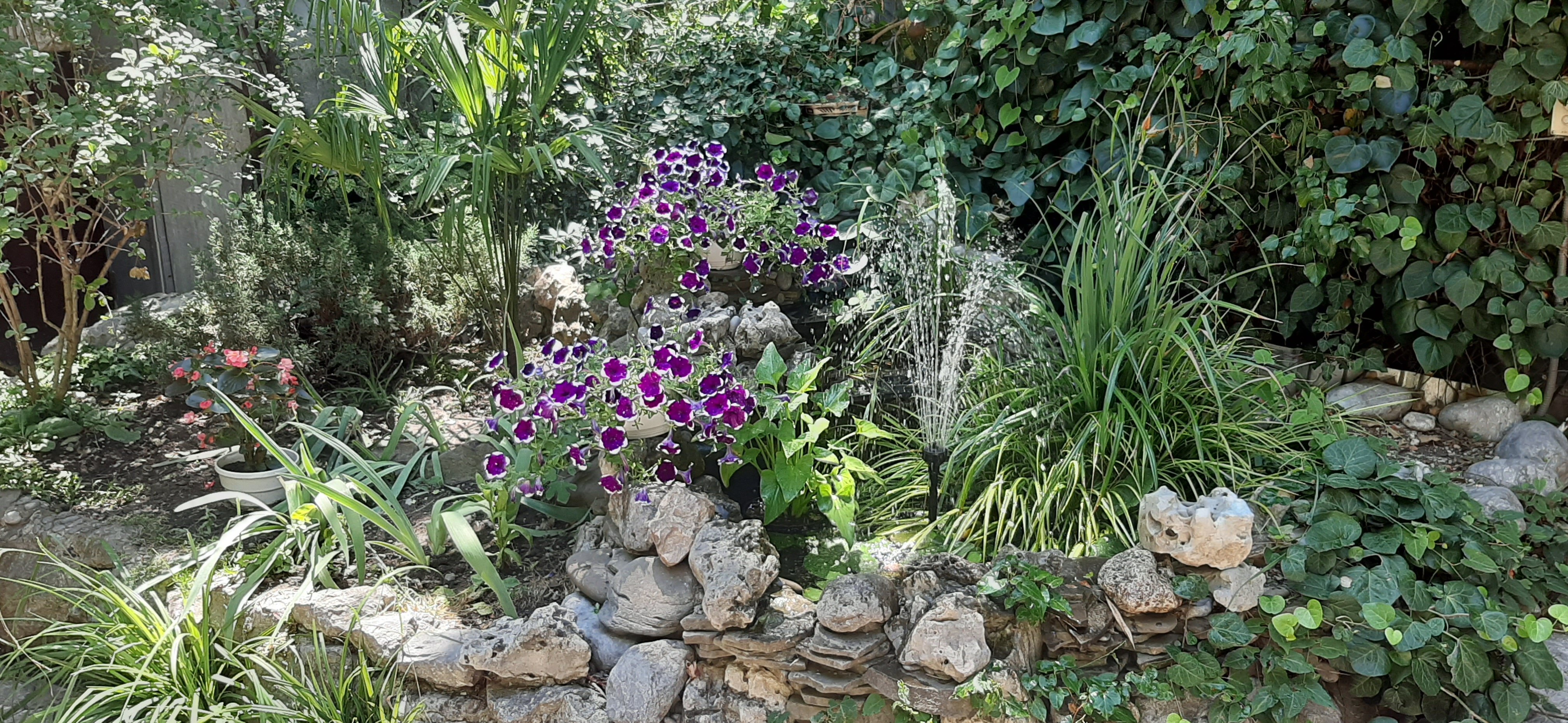 Фото Дом для отдыха