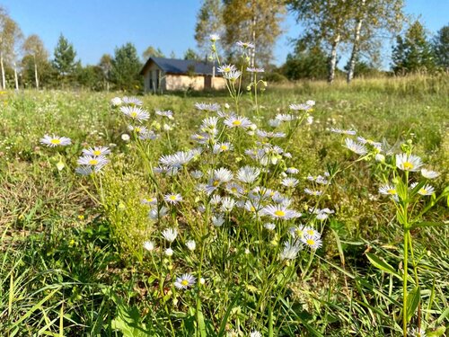 Иное жильё Арт Хаус в Самсонове