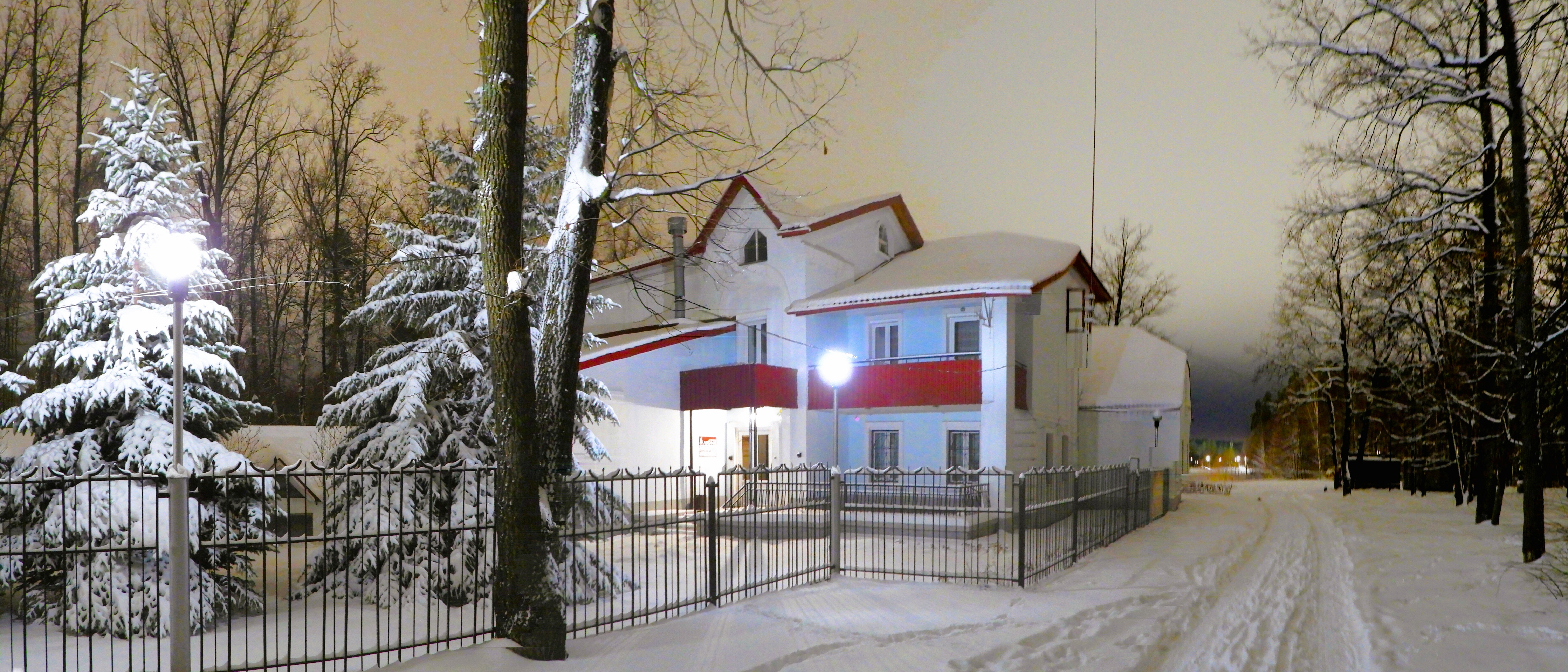 Фото Лесная