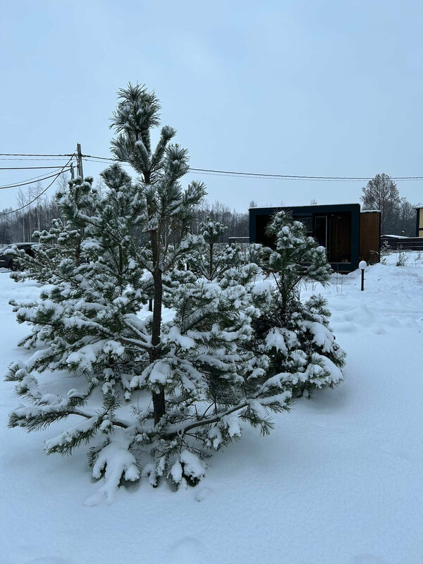 База на Ладоге — фото 49