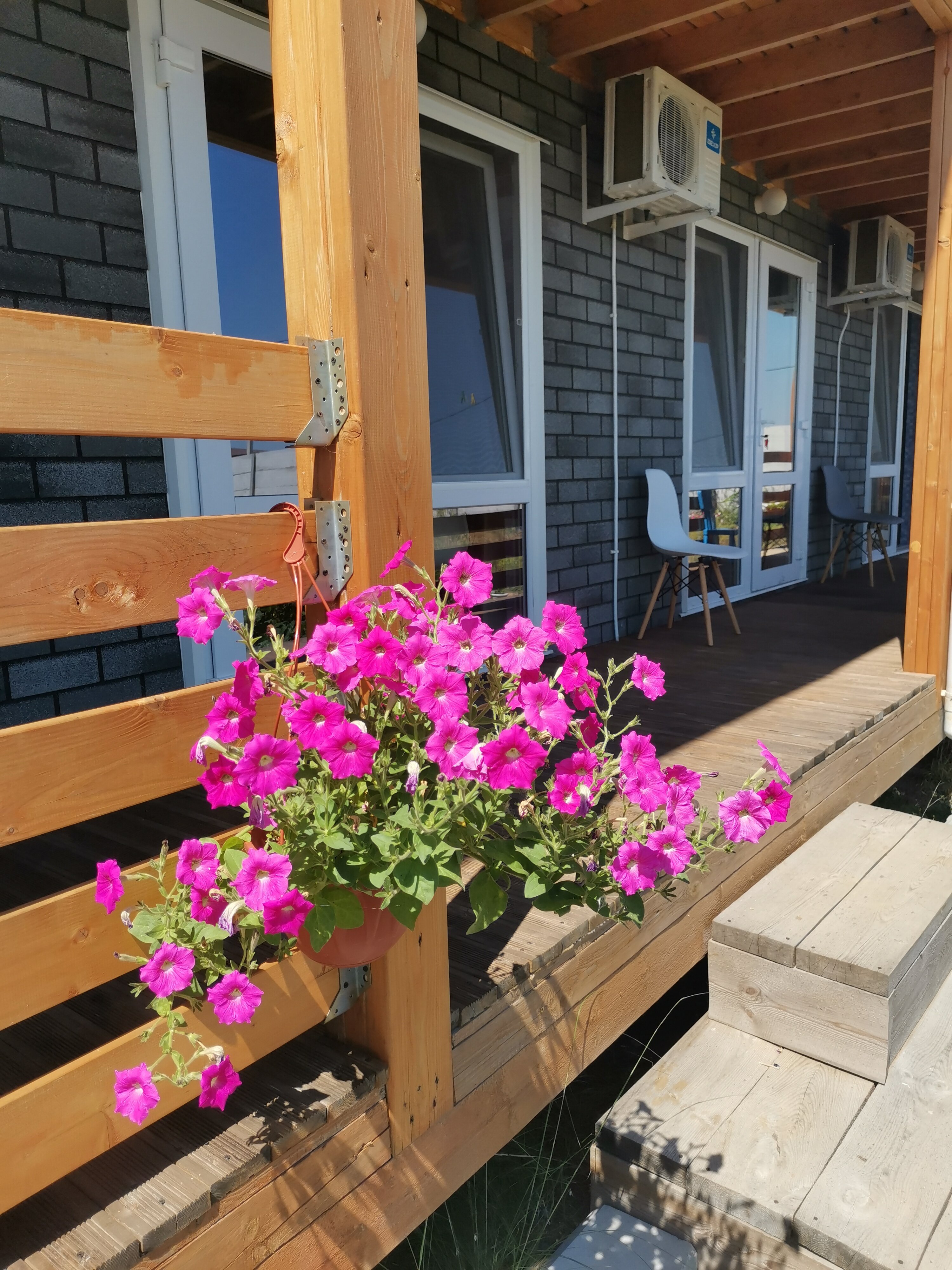 Фото Георгинн