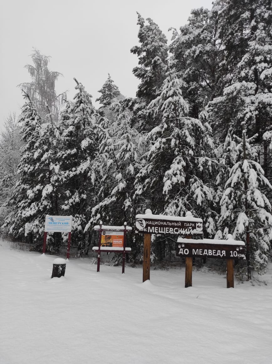 Фото Мишкино