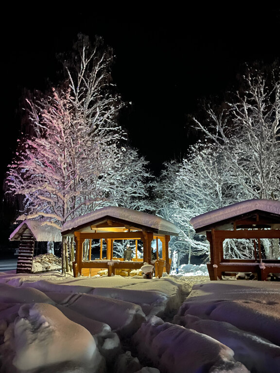 Фото Парк-отель Яркое