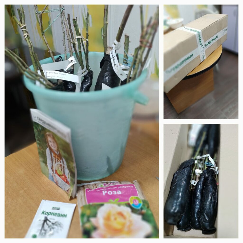 Обмен саженцами между дачниками