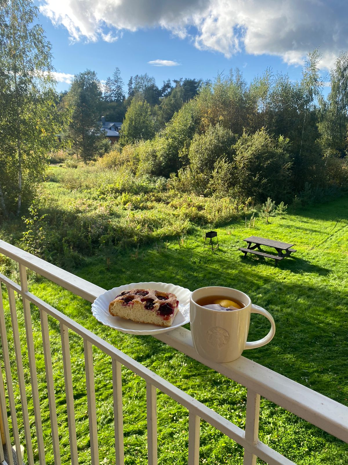 Фото Березки