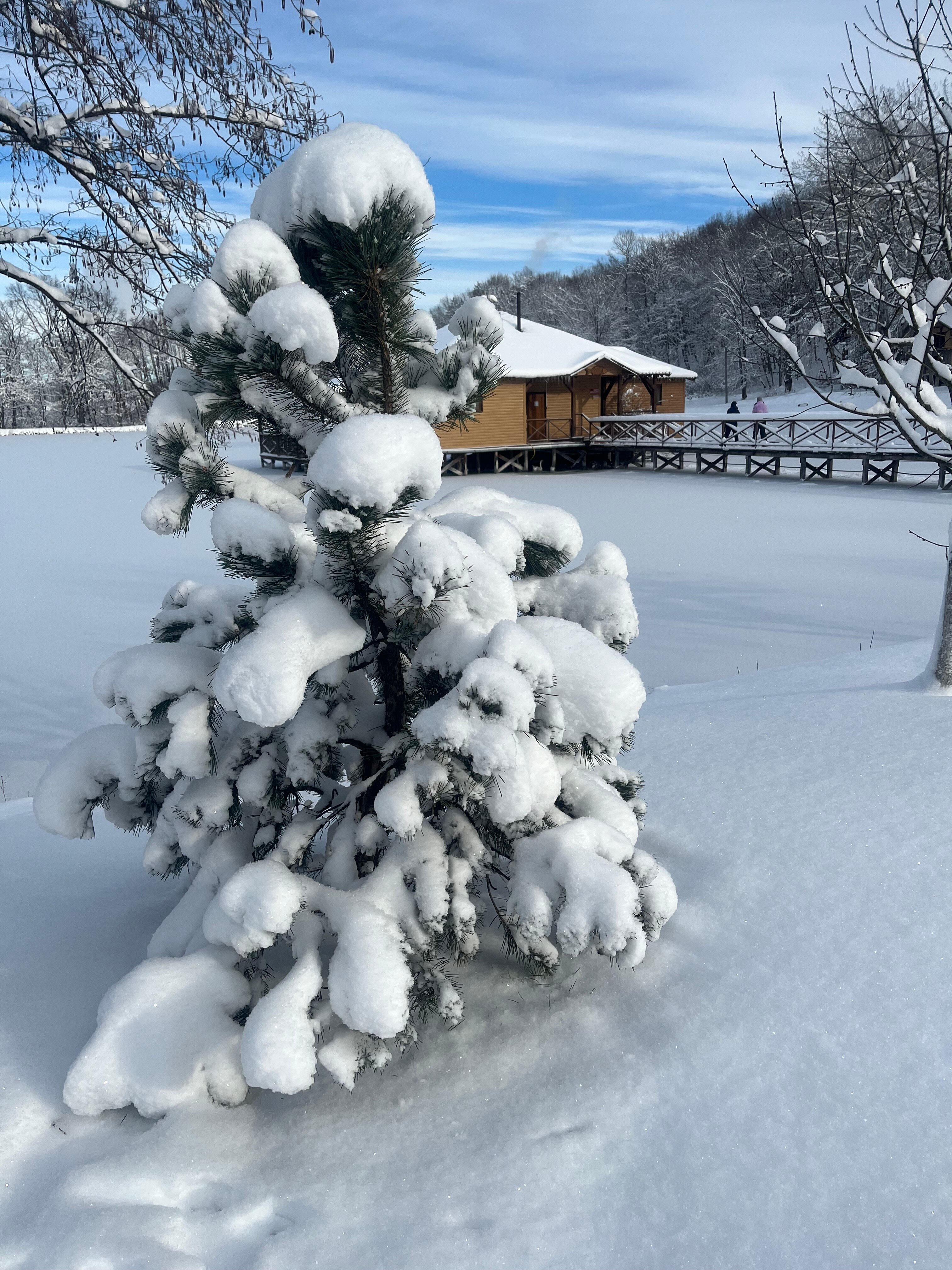 Фото Озеро Желаний