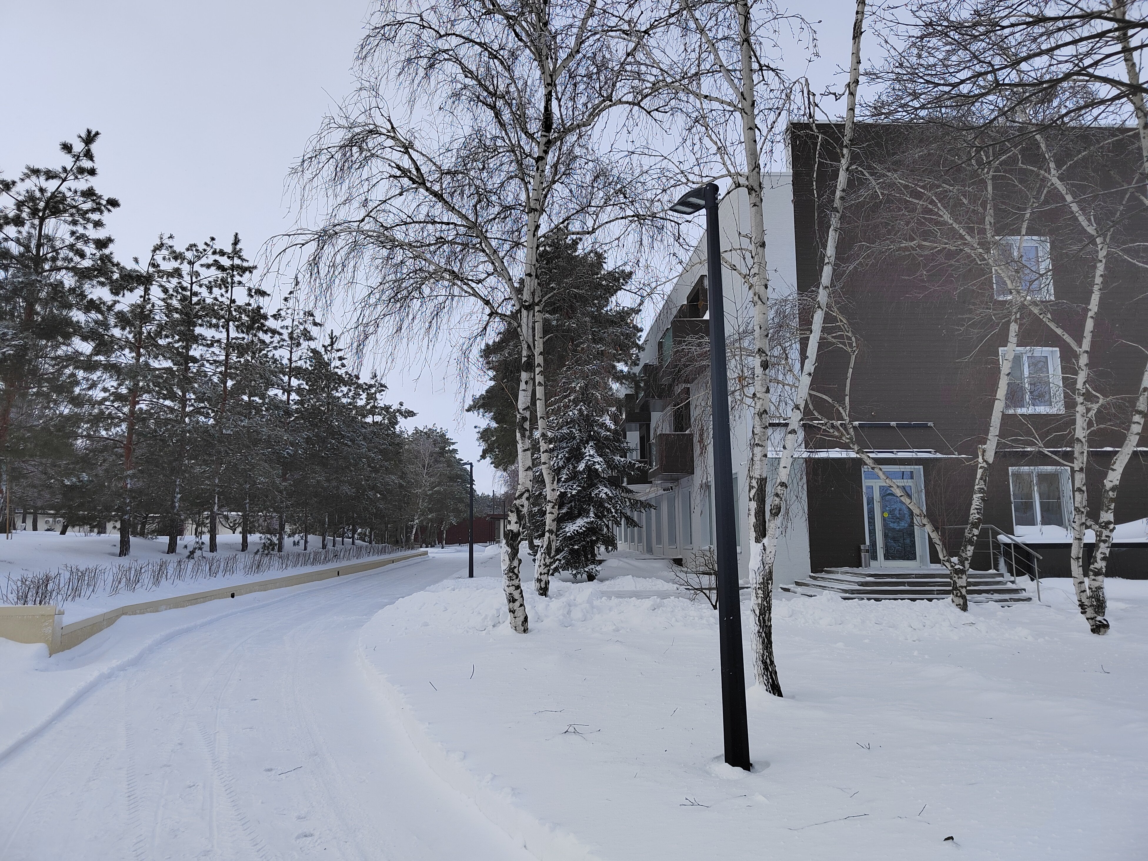 Фото Наша Хвоя