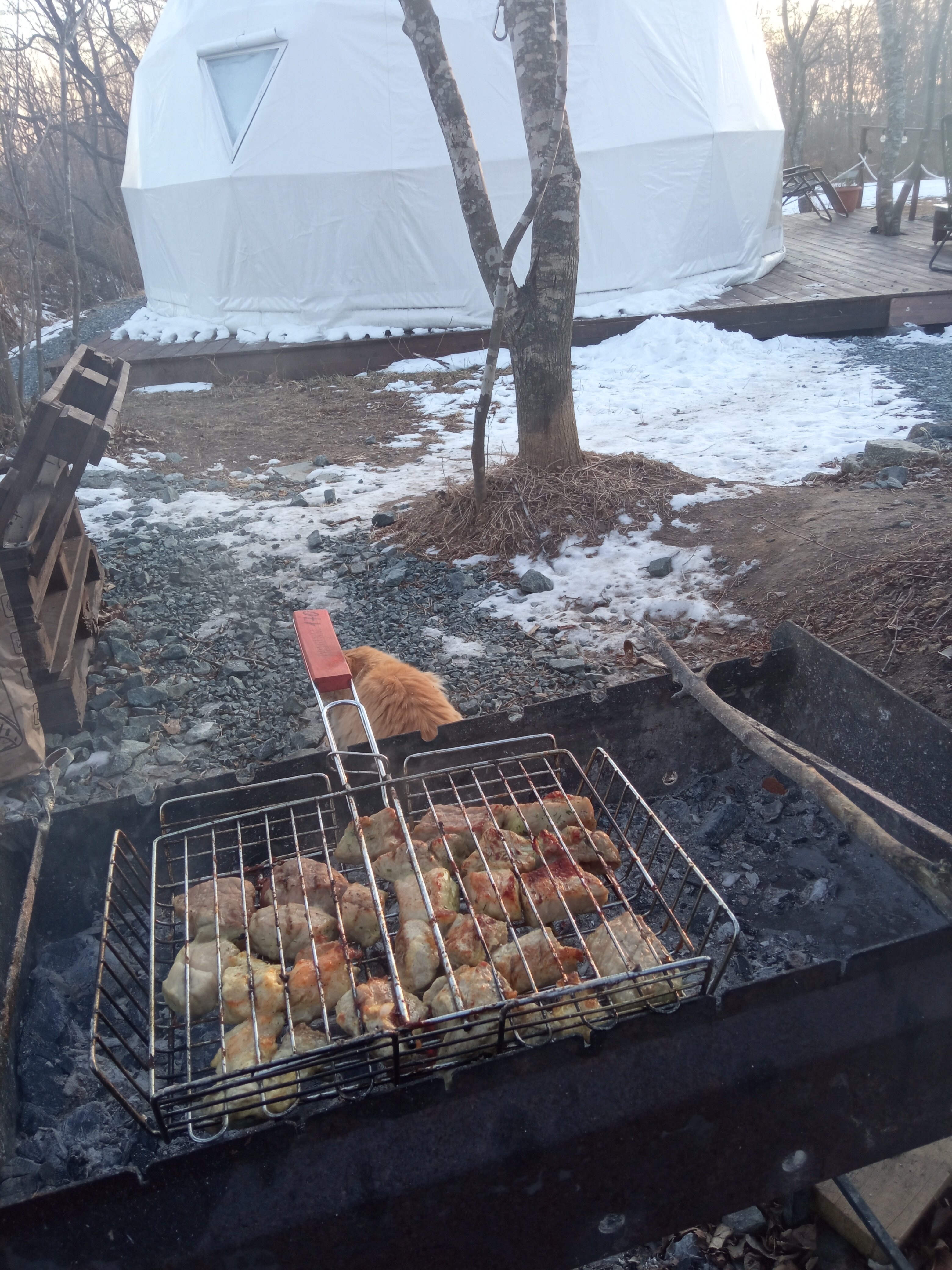 Фото Граф Потоцкий