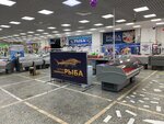 Шельф Северная Рыба (Frunze Avenue, 119/31), fish and seafood