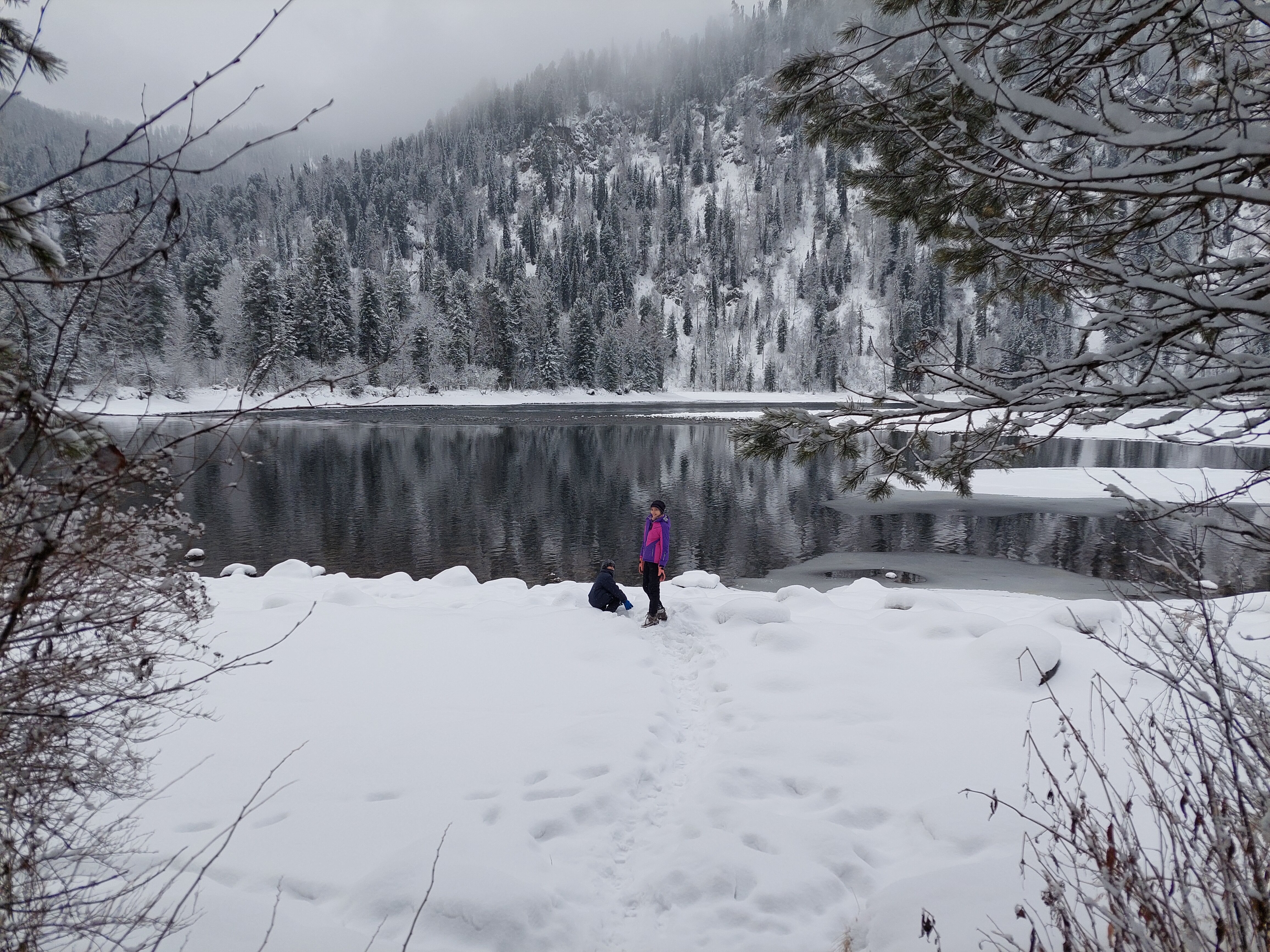 Фото Бия заповедная