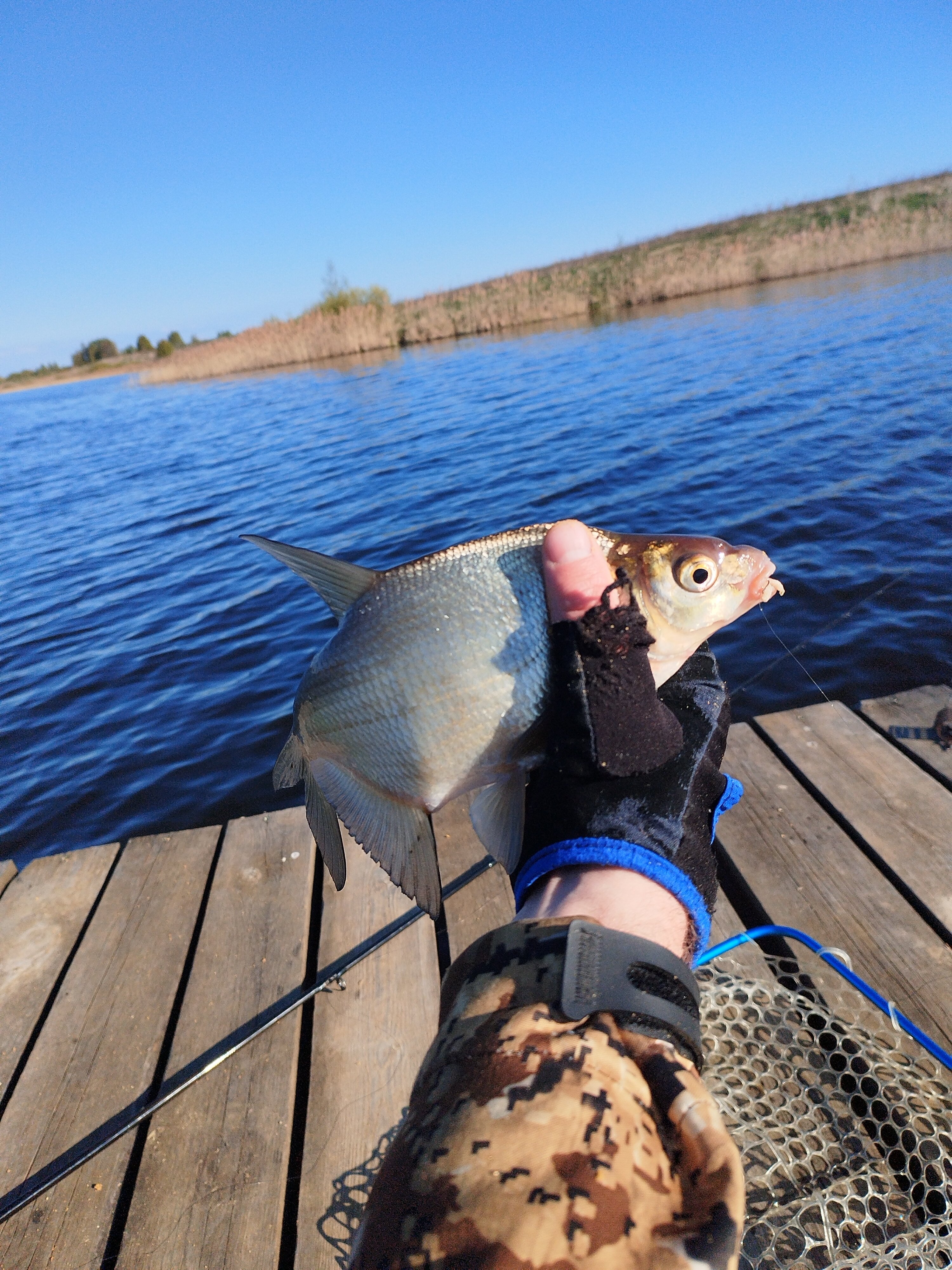 Фото На Вазузу