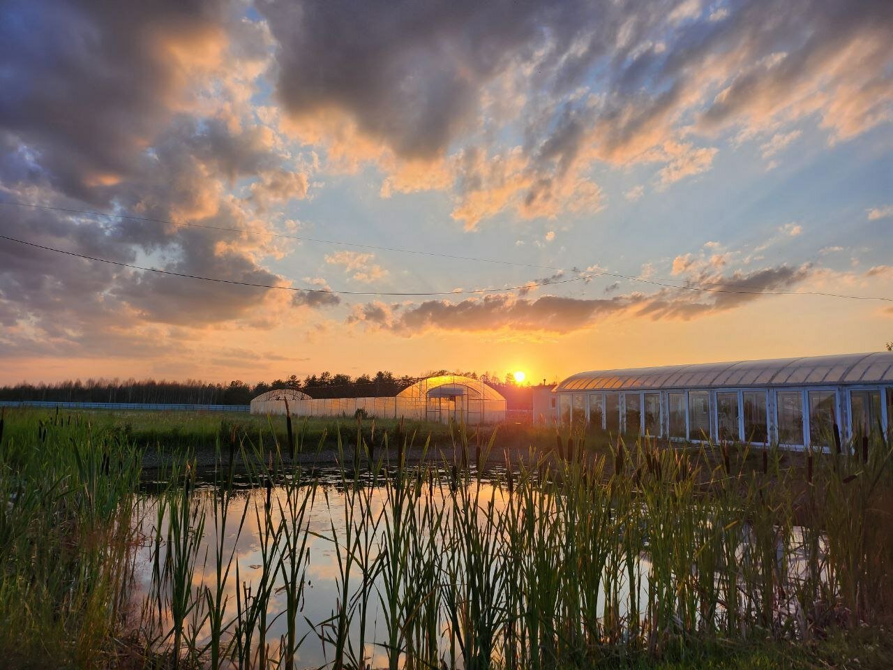 Фото Tasin-Bor Farm