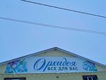 Орхидея (selo Klimovo, Kanashskaya ulitsa, 30А), household goods and chemicals shop