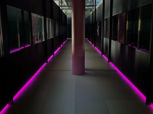 Altera Cyber Lounge (Vladimir, ulitsa Rastopchina, 57Б), hookah lounge