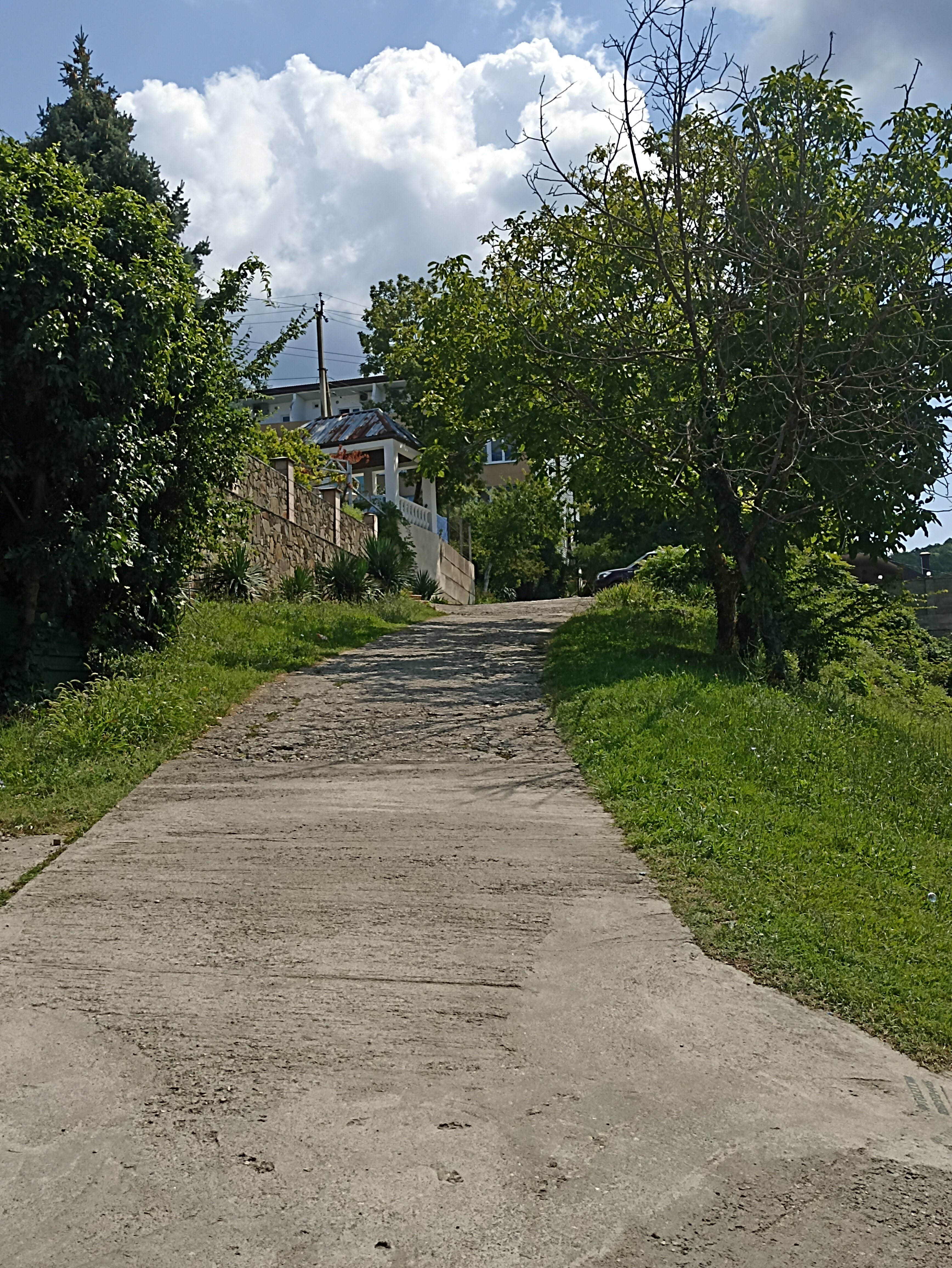 Фото Лирион