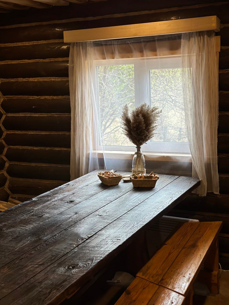 Фото Forest trail