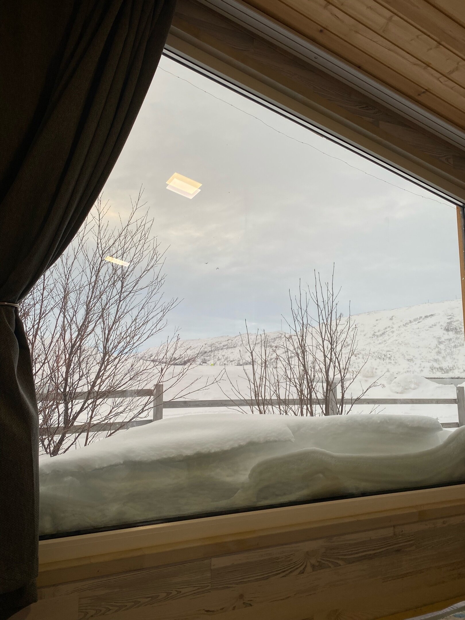 Фото Ковчег51