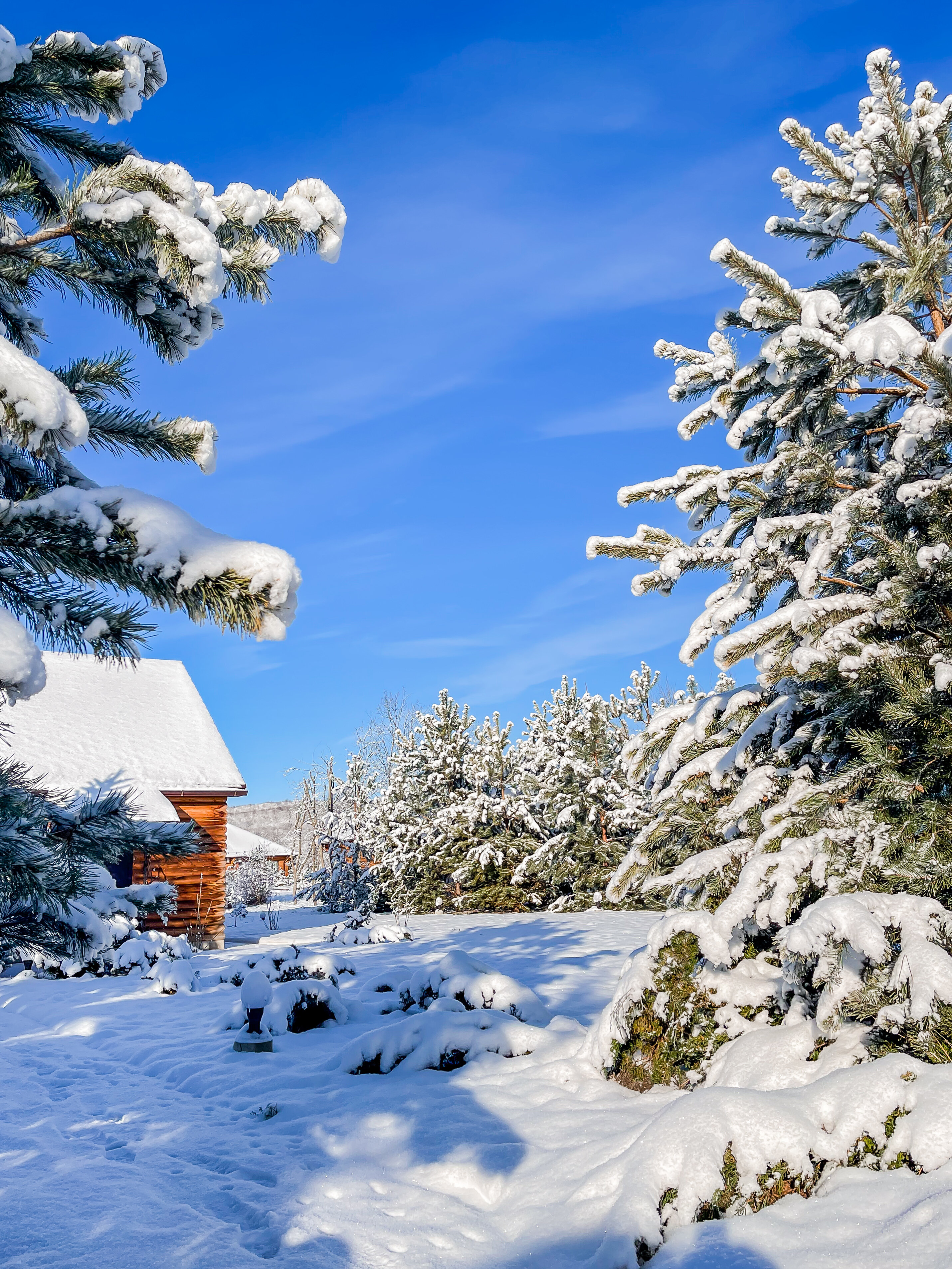 Фото Зеленые холмы
