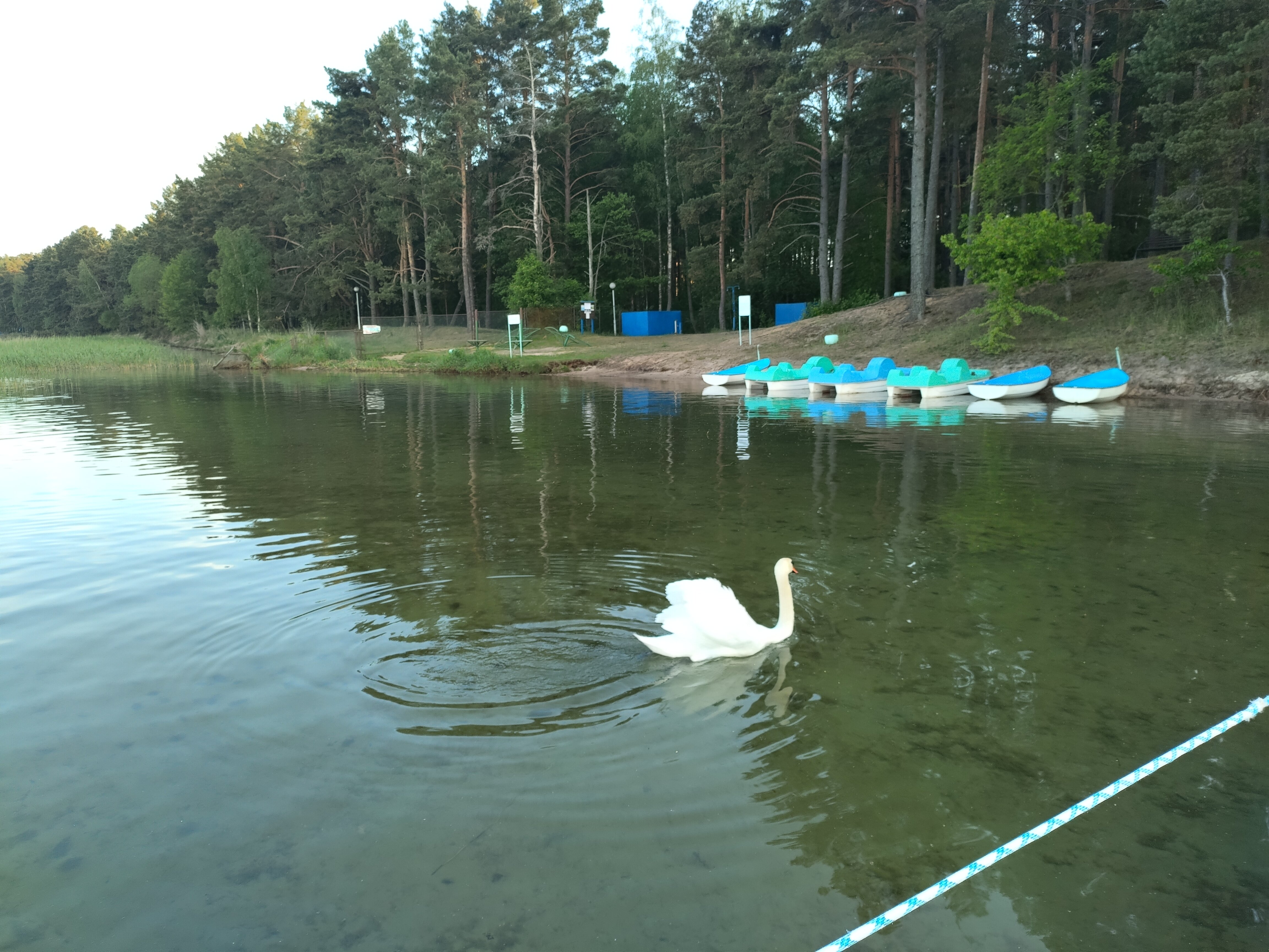 Фото Журавушка