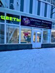 Цветочная мастерская Дарьи Резаевой (ulitsa Chapayeva, 8), flower shop