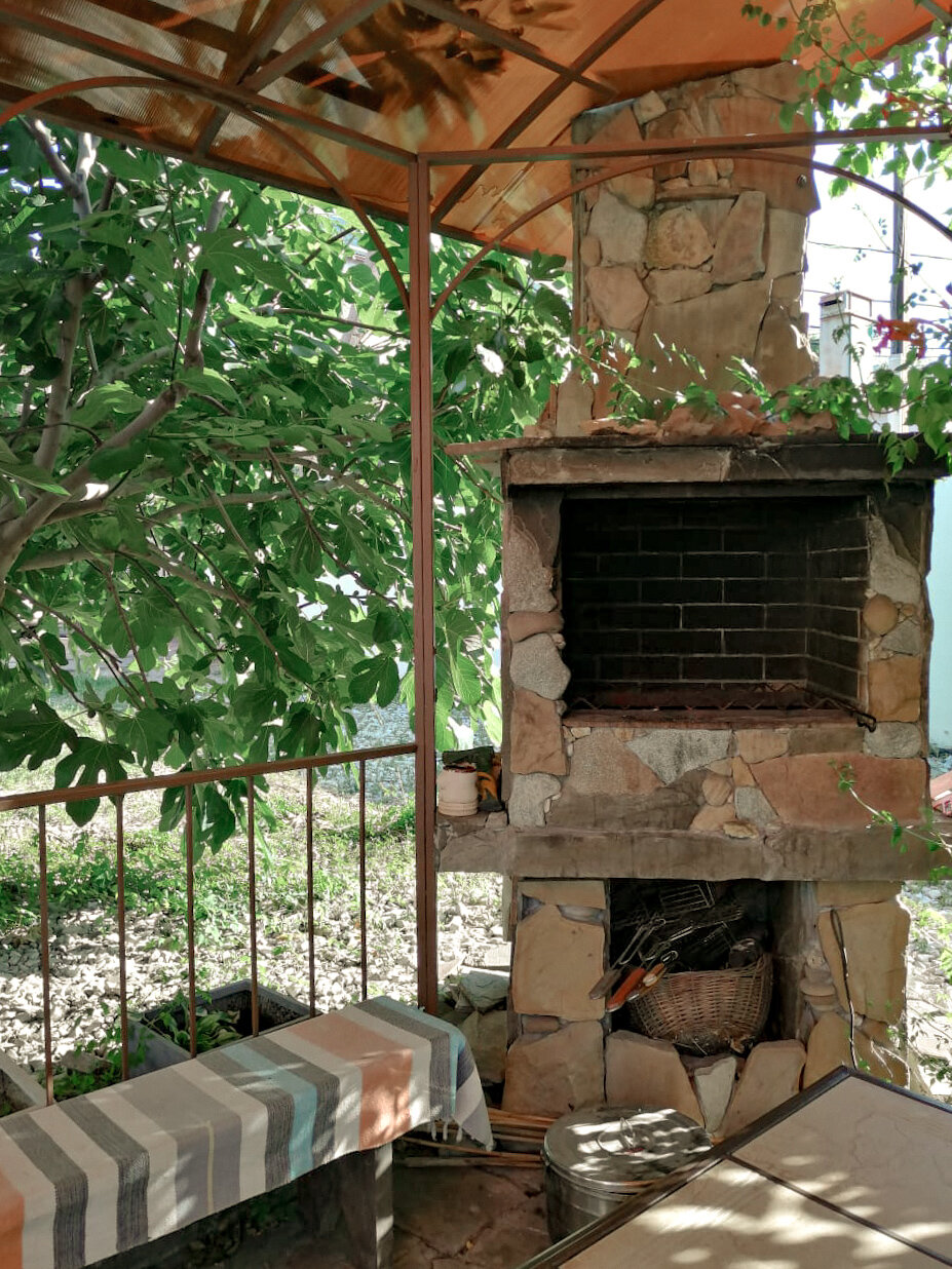 Фото Дельфиния