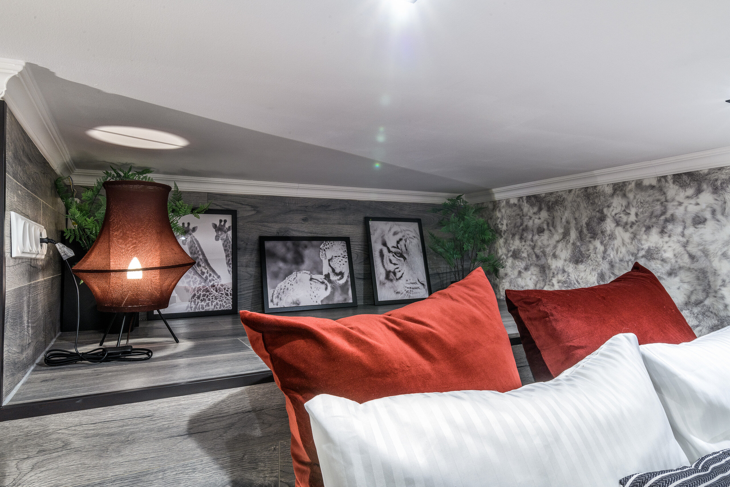 Фото Апарт-группа Морошка