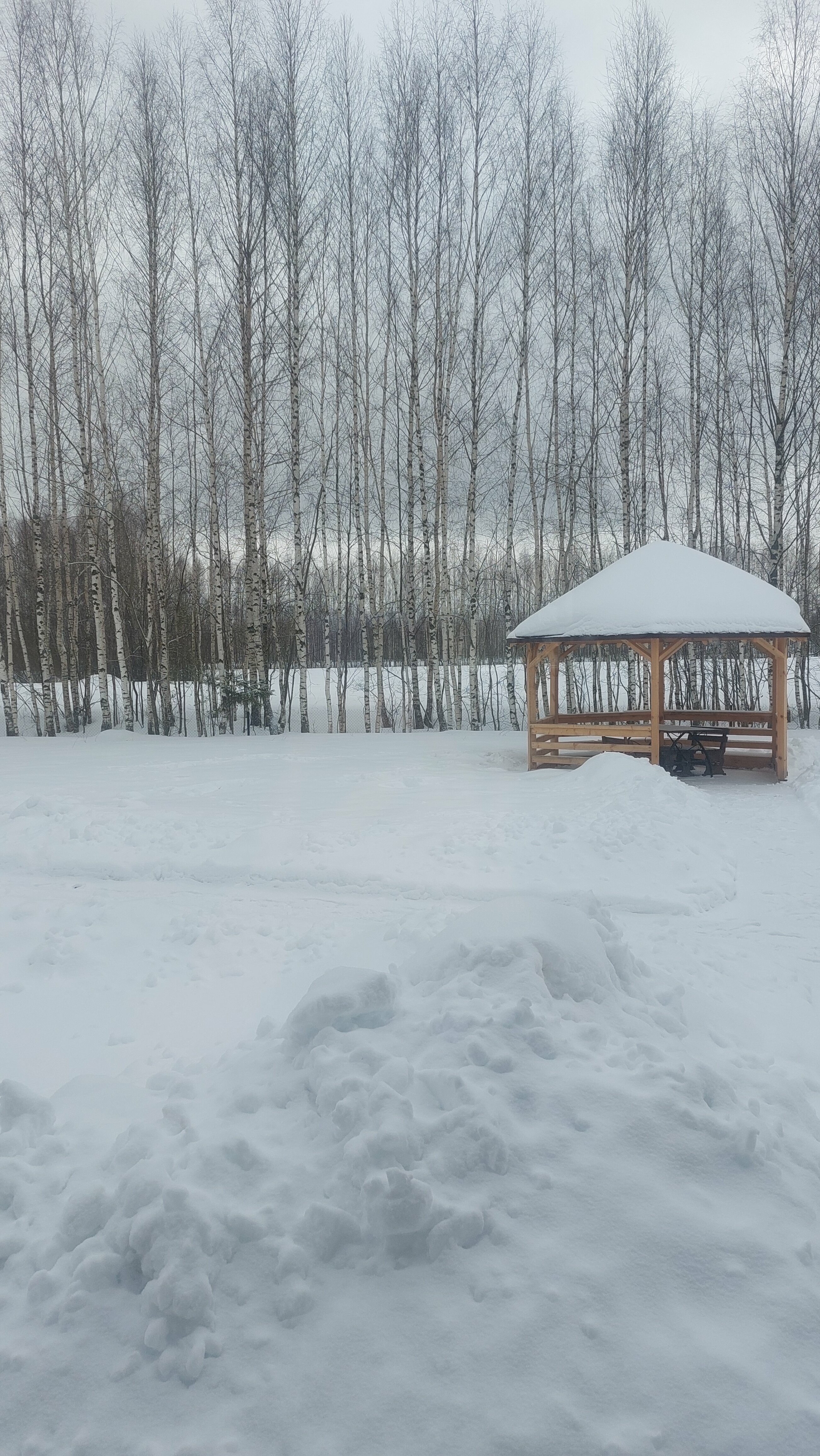 Фото The Поле