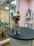 Fluffy SPA (Ostrovityanova Street, 11) ، صالون حيوانات أليفة
