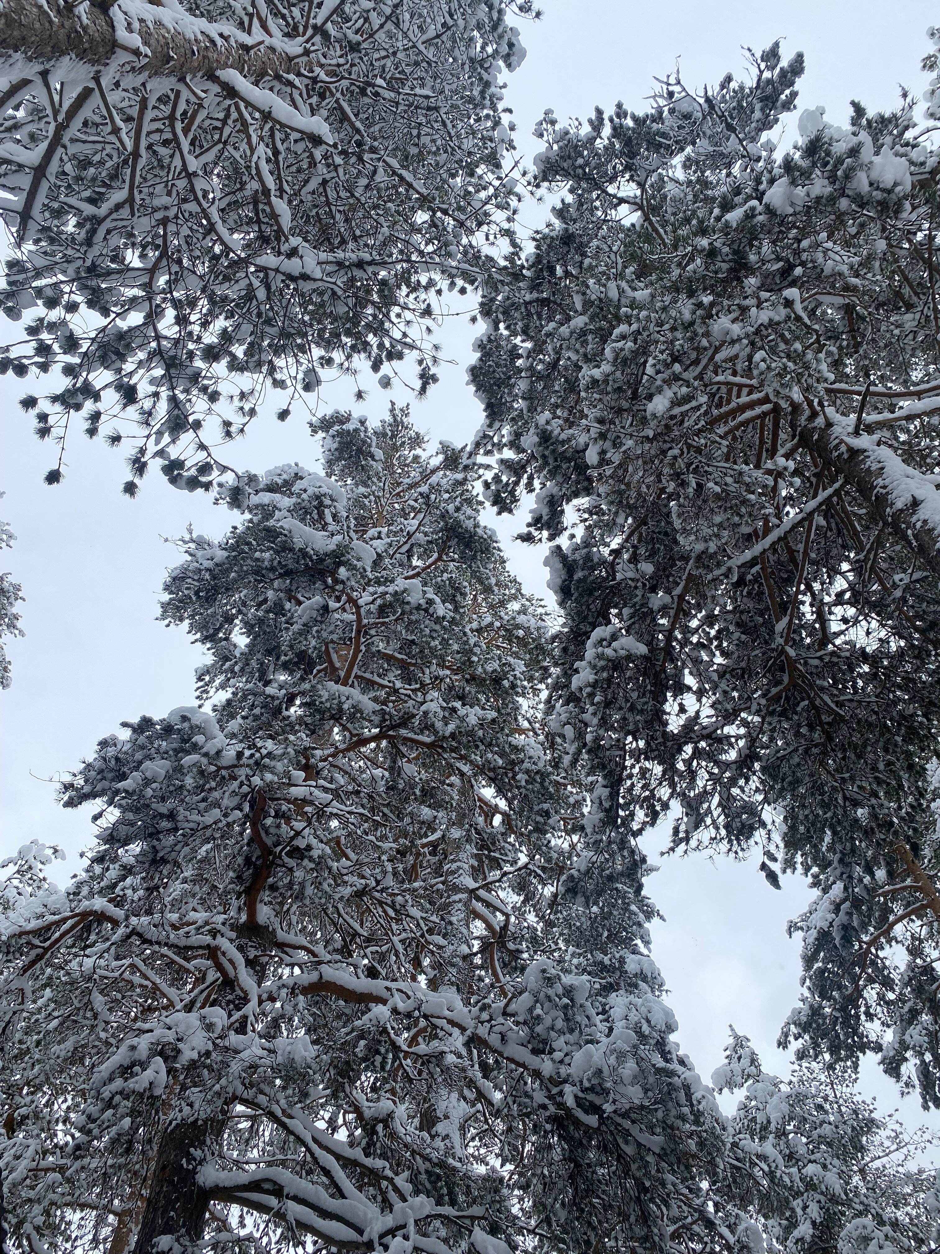 Фото Валентина