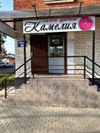 Kamelia (Lenina Street, 41), flowers and bouquets delivery