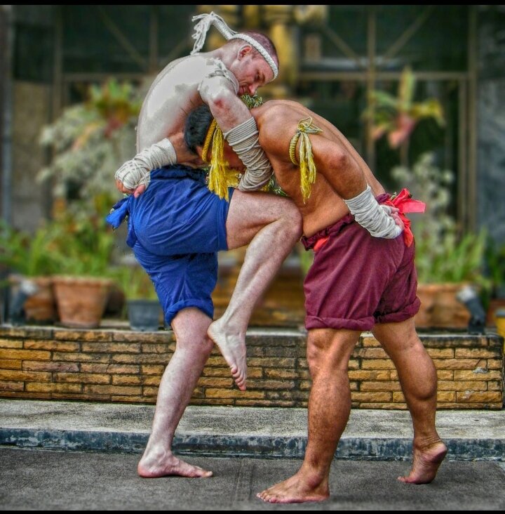 Фото Глобус Фитнес