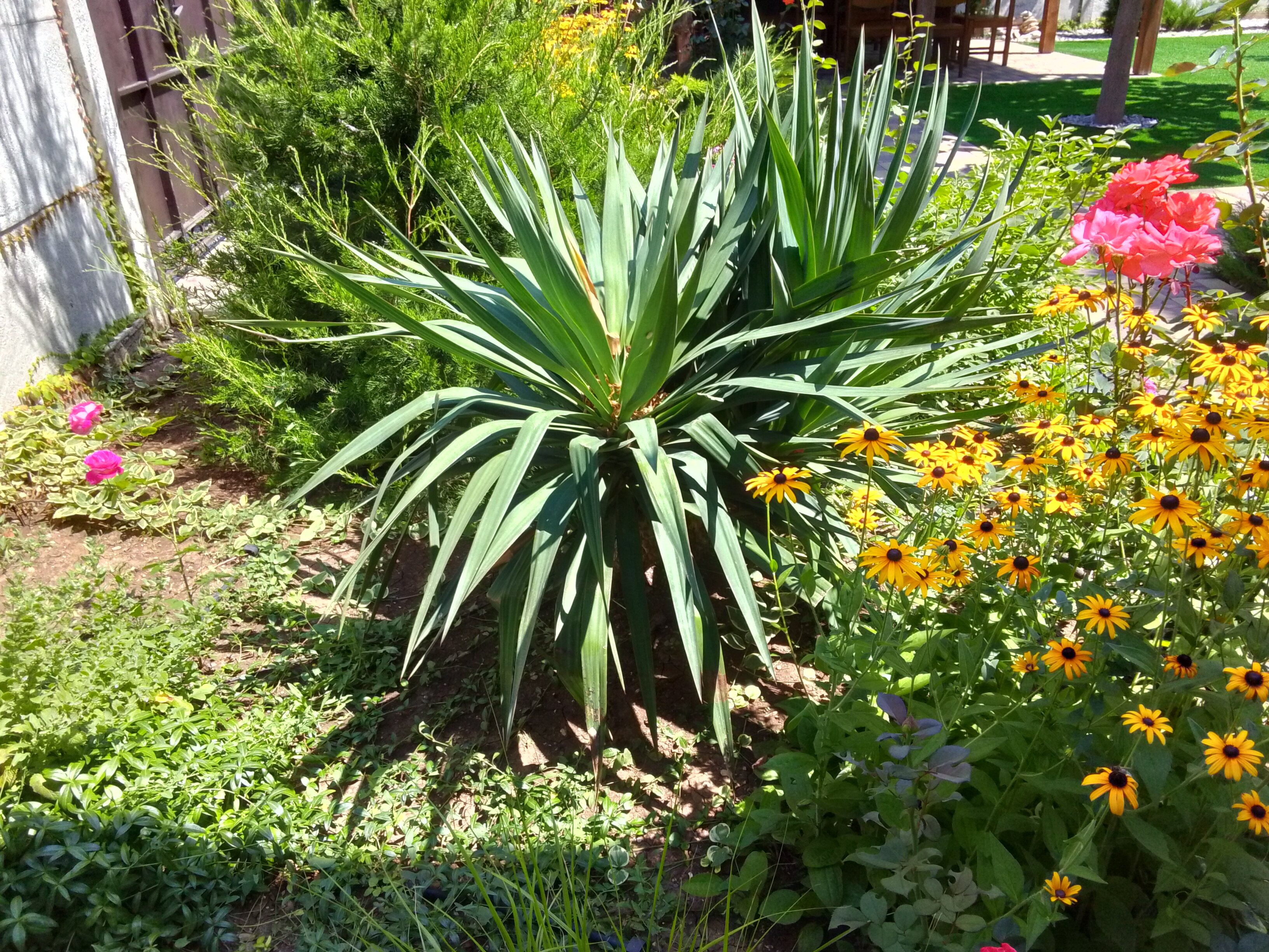 Фото Мелодия моря