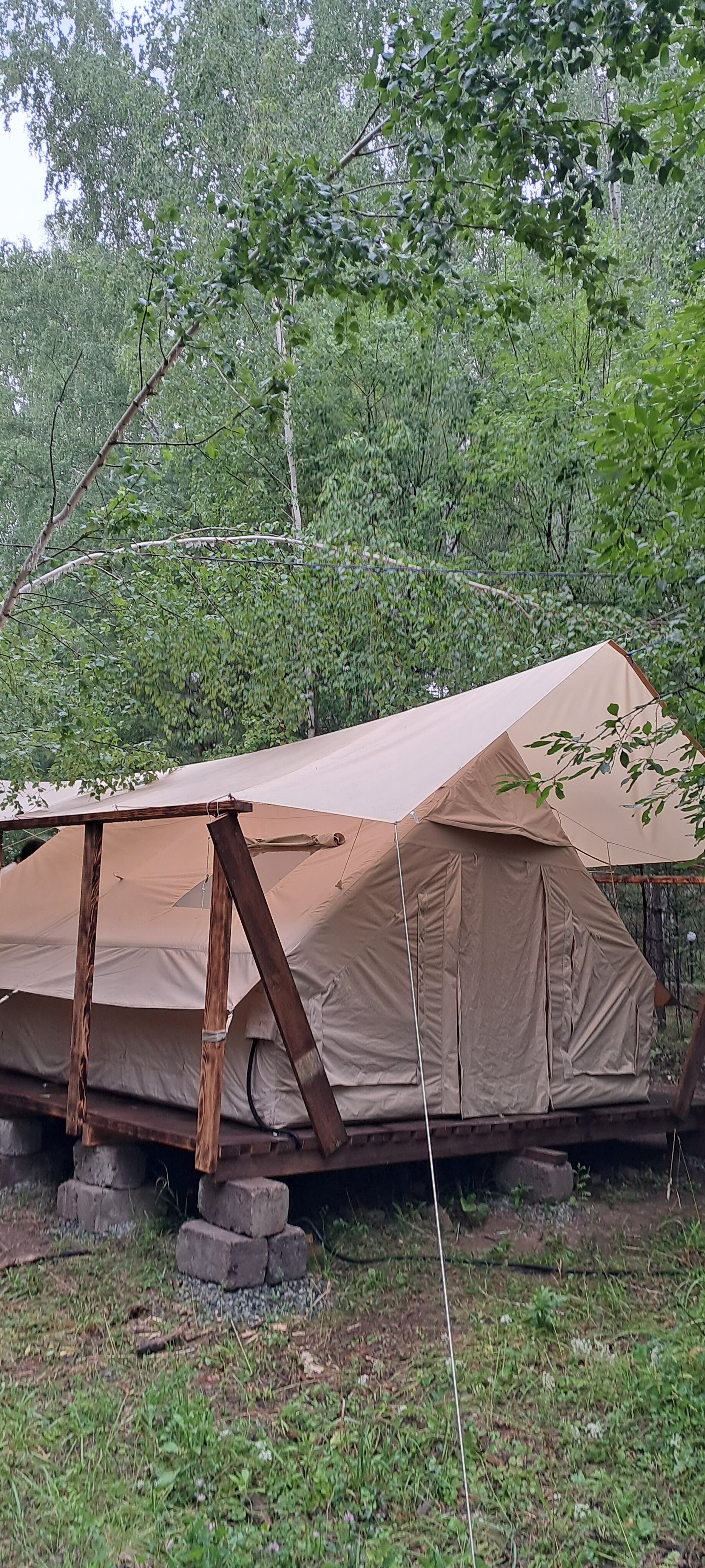 Фото Лесотерапия