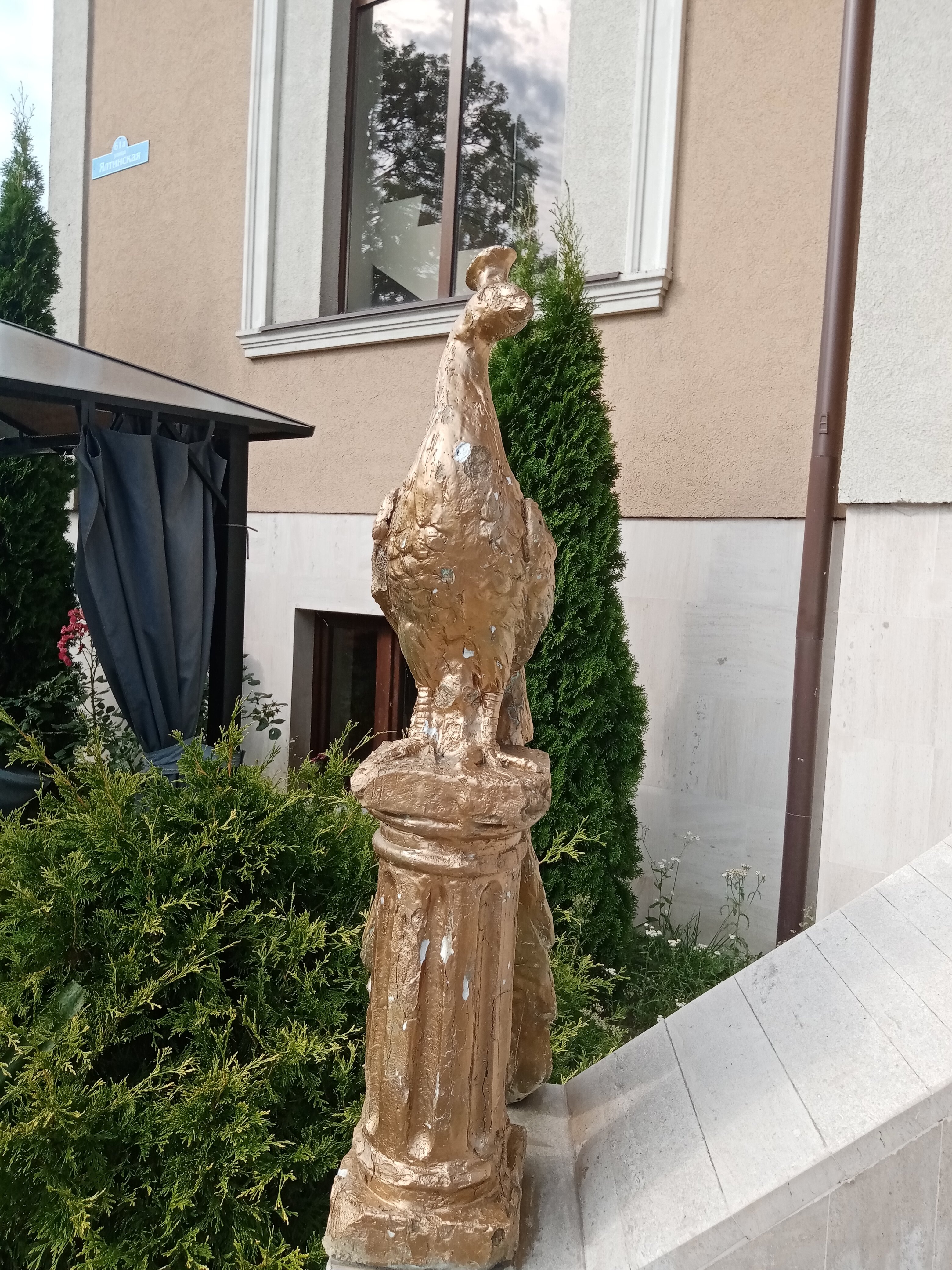 Фото Золотая ночь