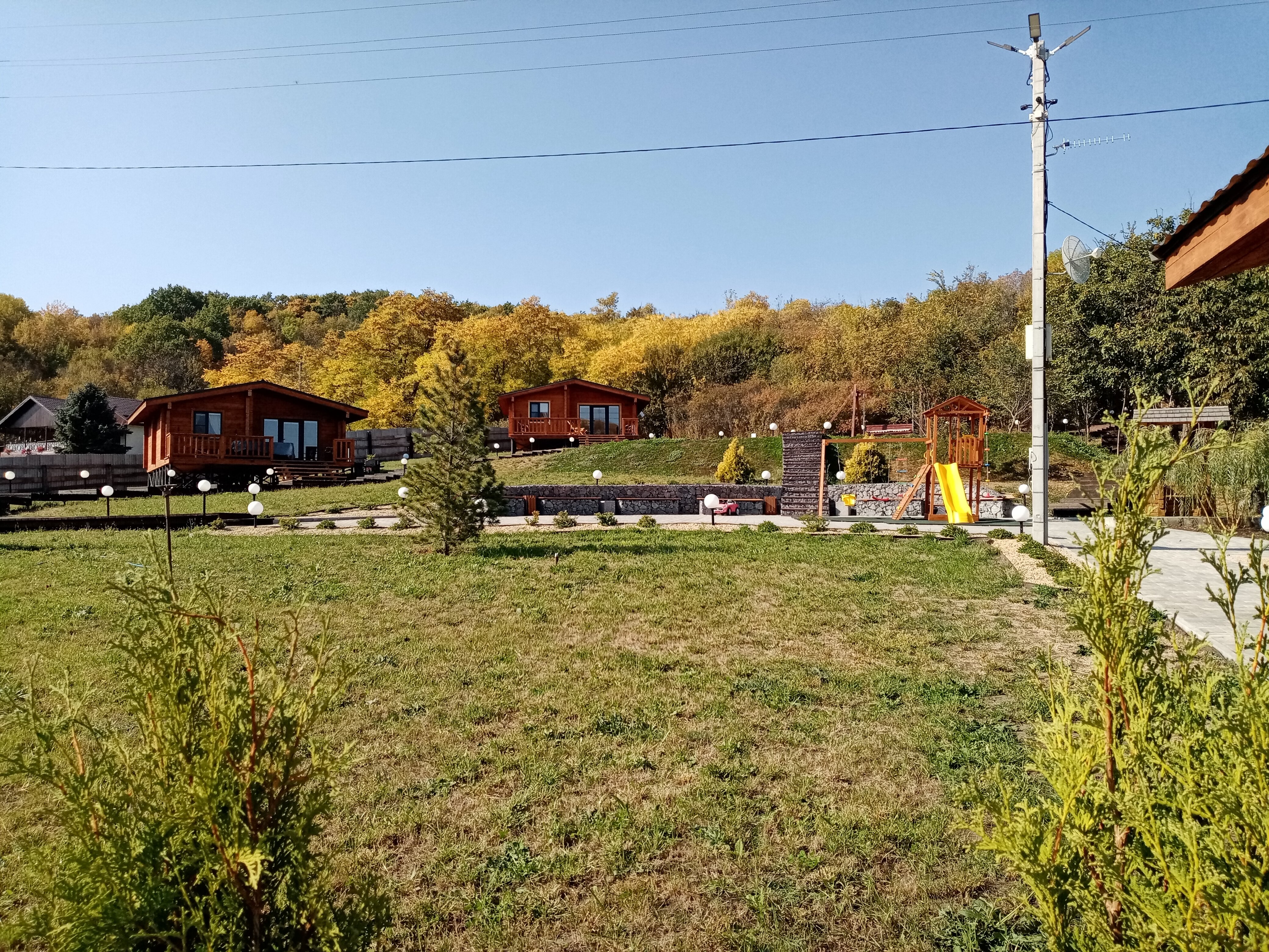 Фото Тихие Дивы