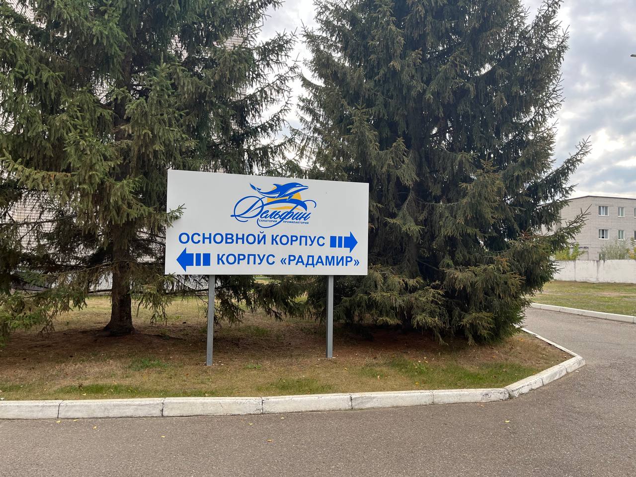 Фото Дельфин