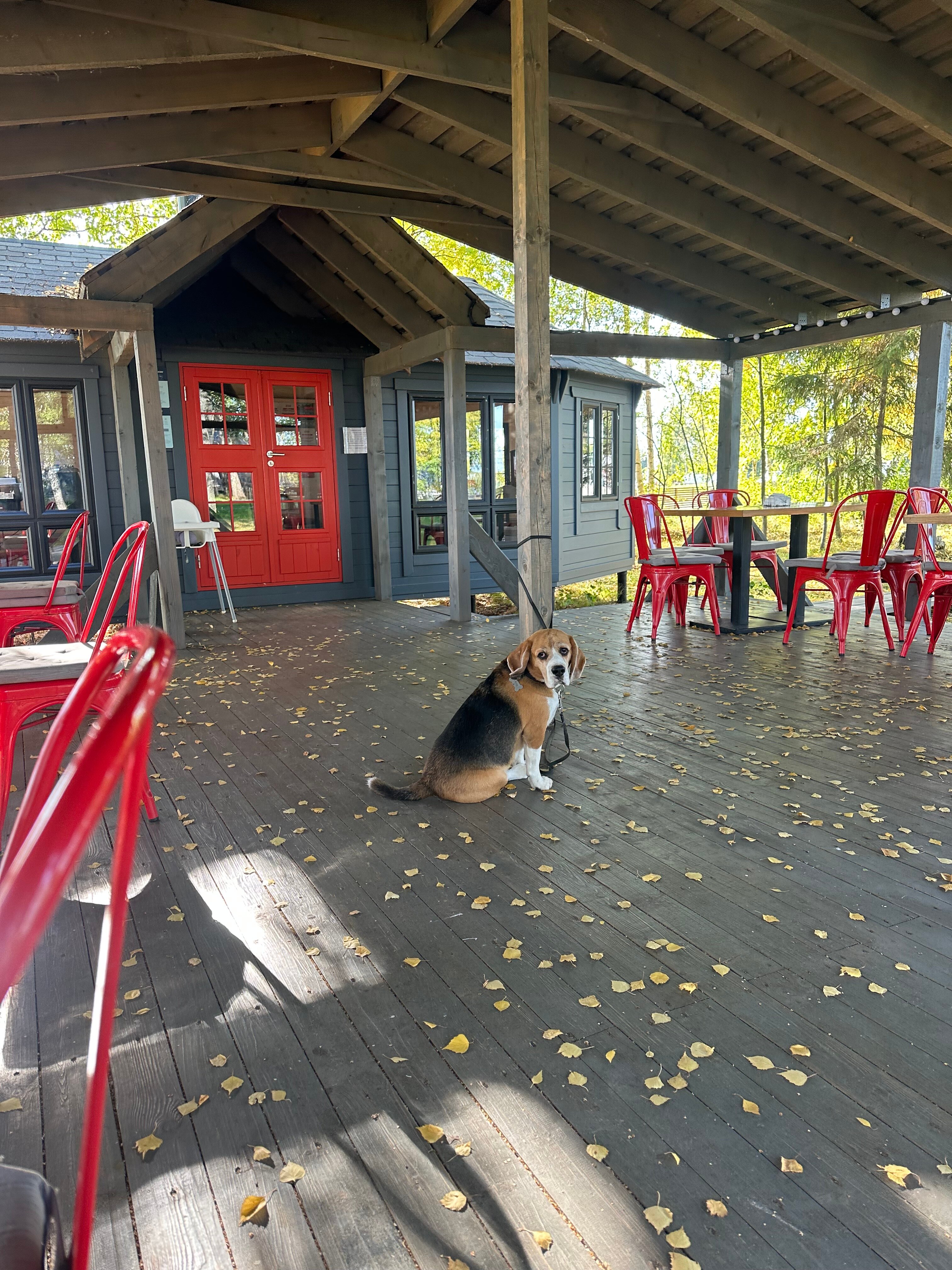 Фото Природный комплекс Ветрено
