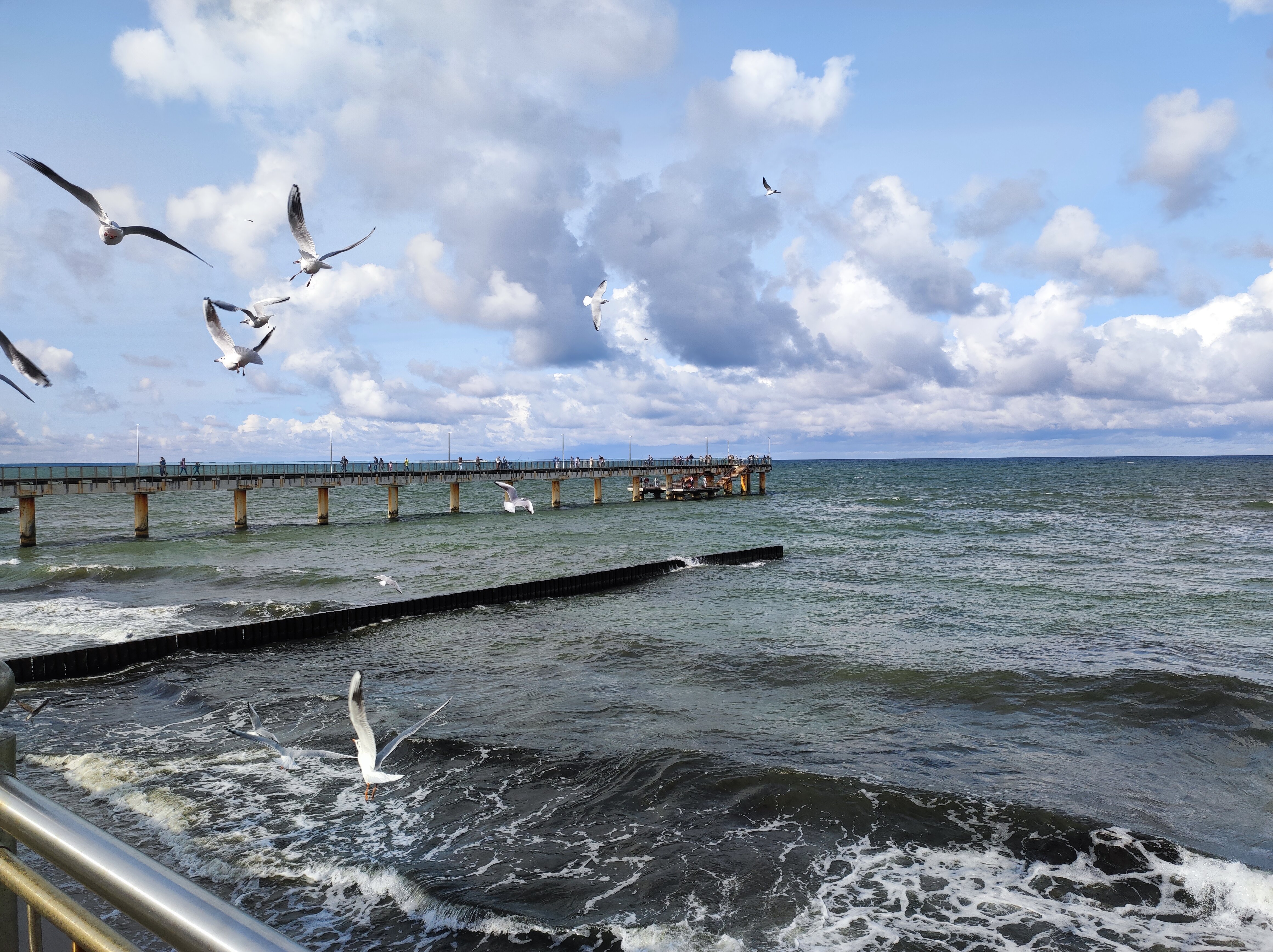 Фото АмстерДом