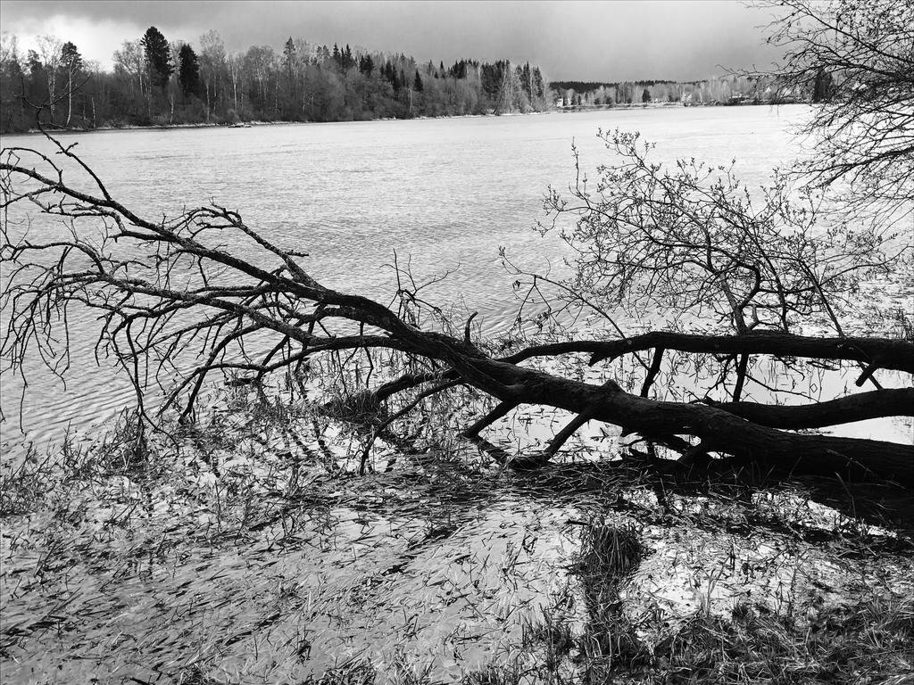 Фото Best Western Nya Star Hotel