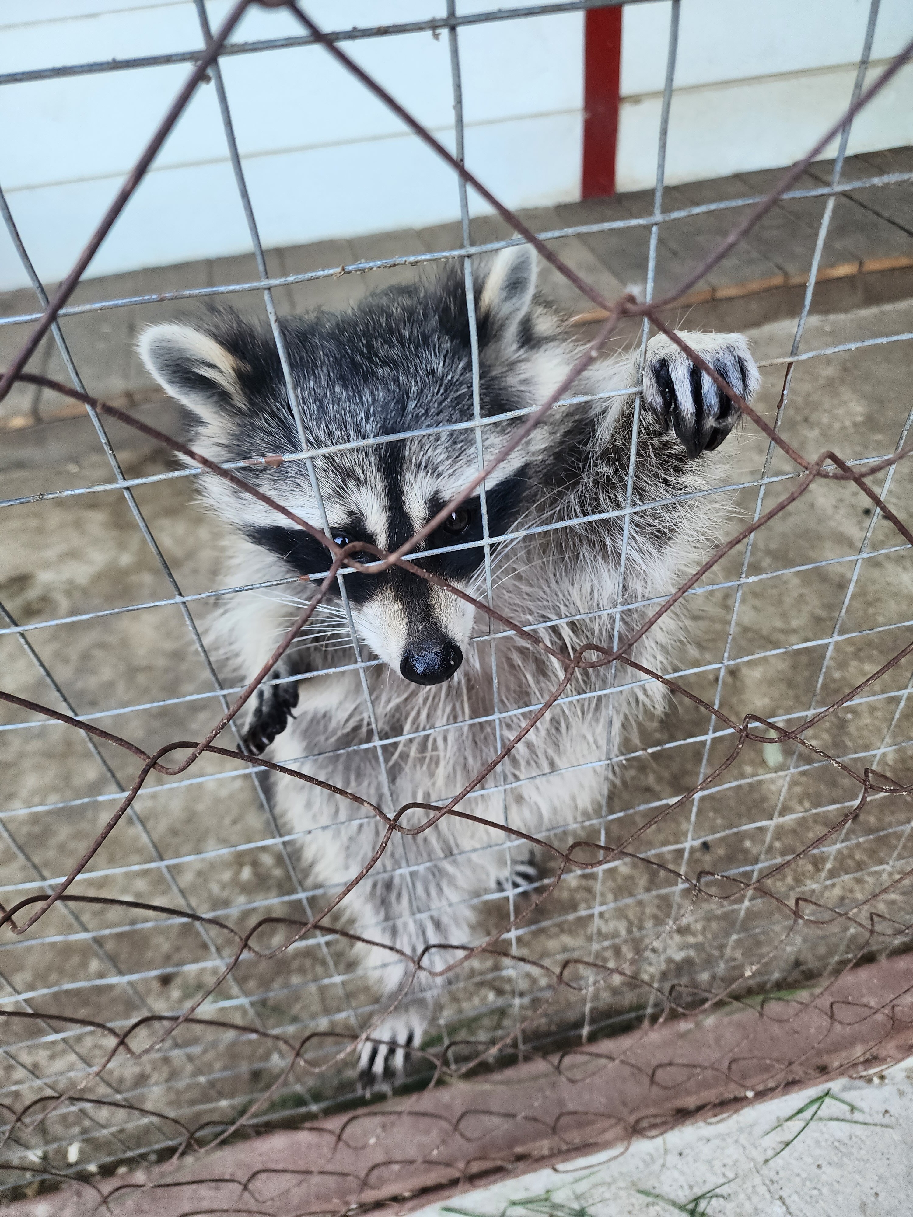 Фото Казачий хуторок