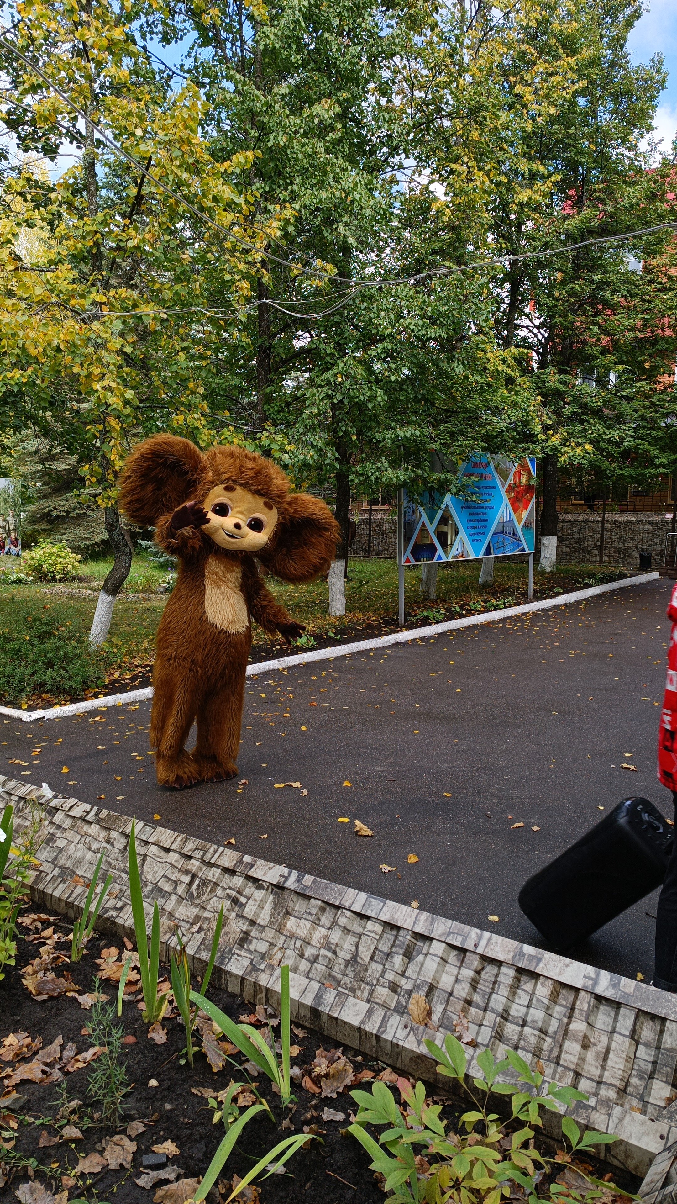 Фото Надежда