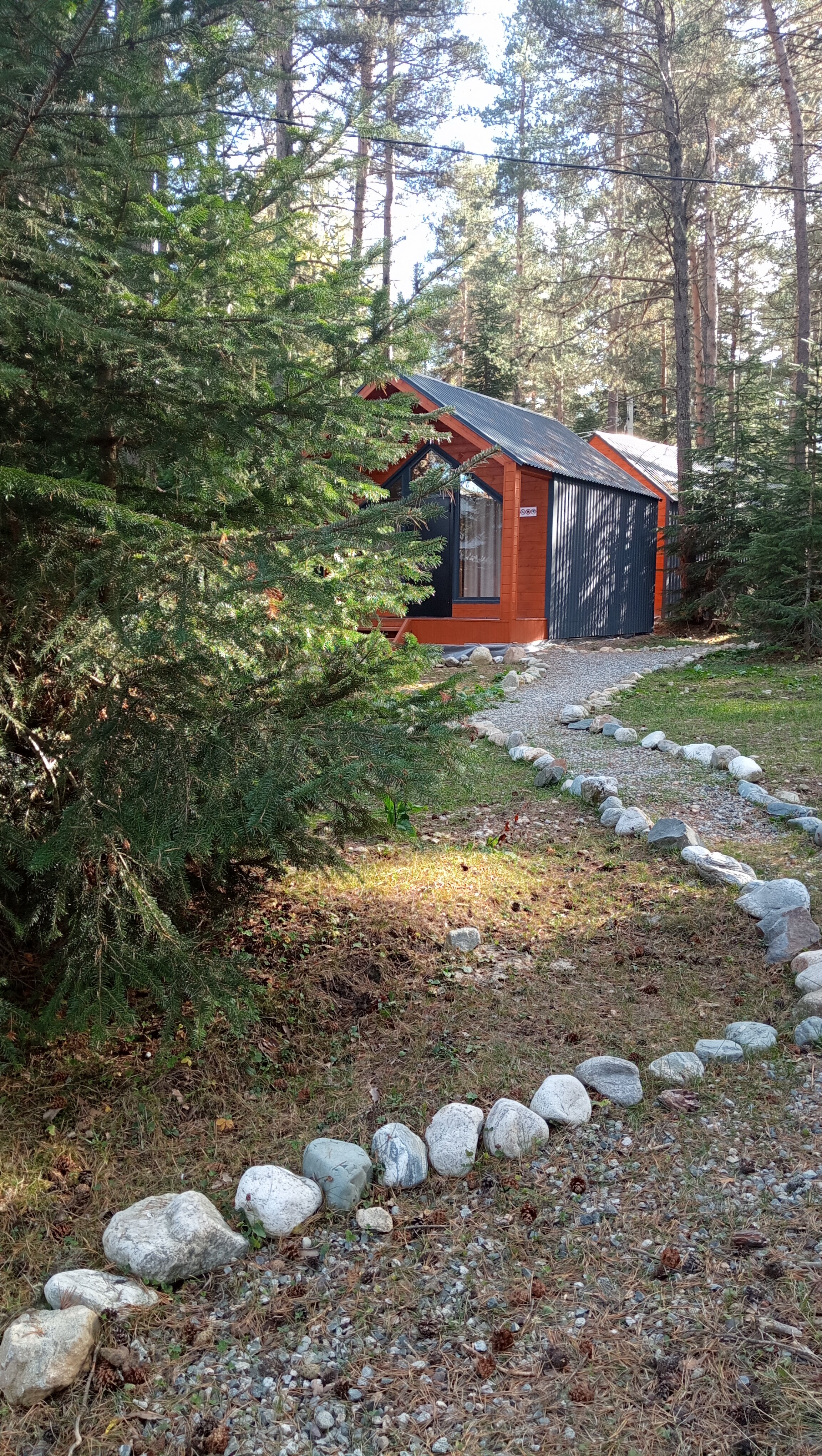 Фото Белый волк