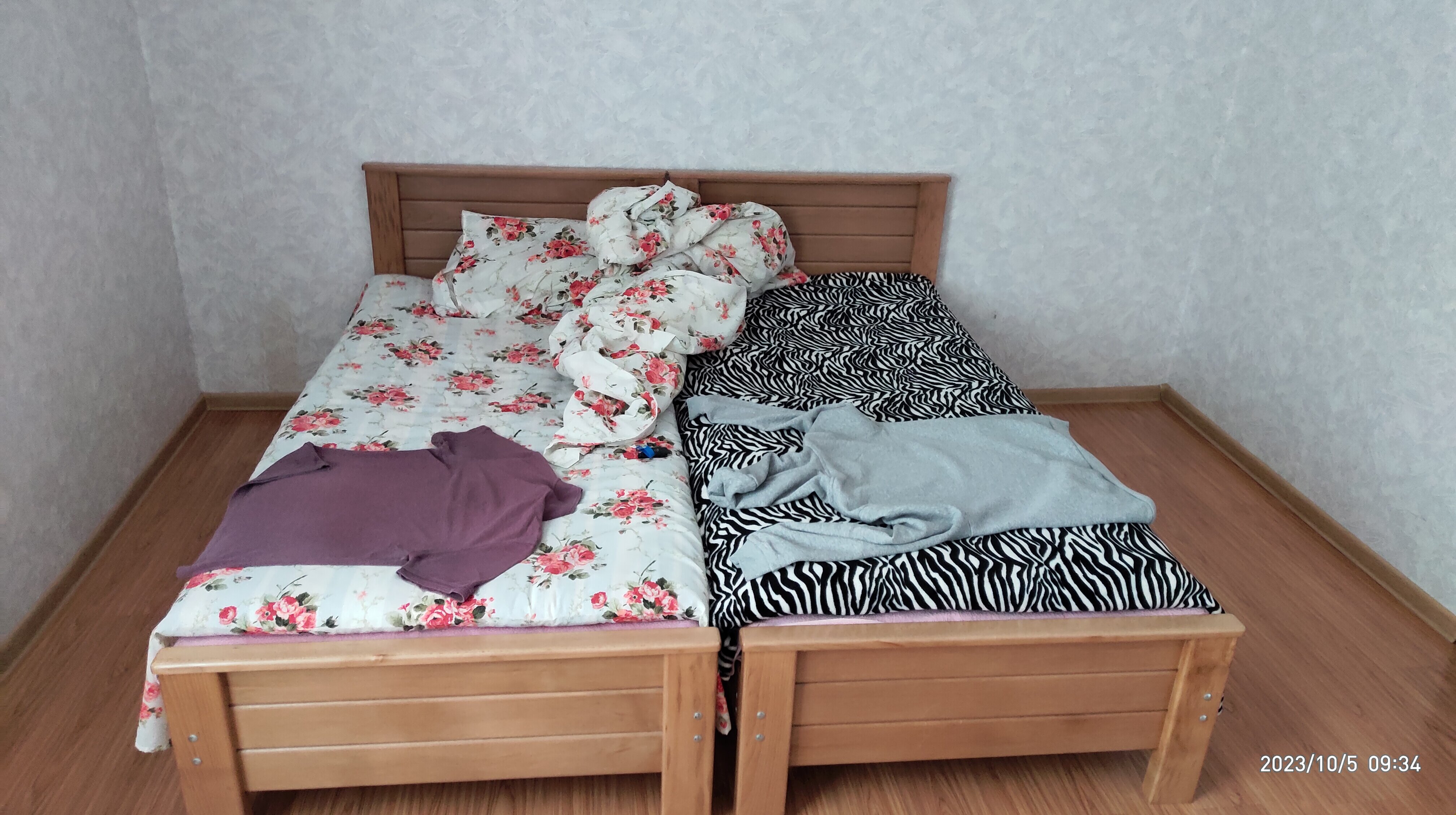 Фото Гостевой дом Besarioni