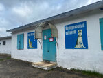 Vetclinic (pereulok Lesnikov, 2А) ، عيادة بيطرية