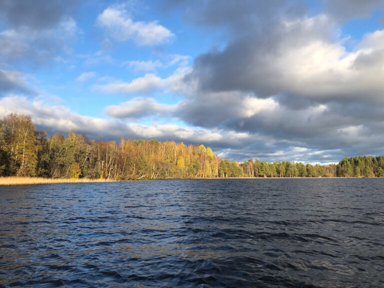 Фото Дальние дачи